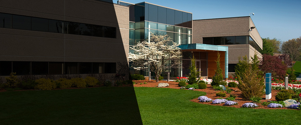 Kannapolis Landscapers