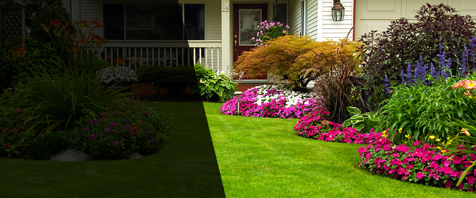 Kannapolis Landscapers