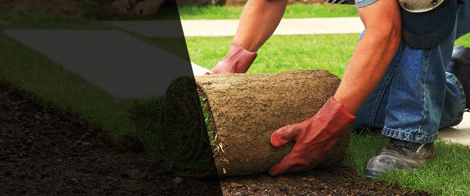 Kannapolis Landscapers